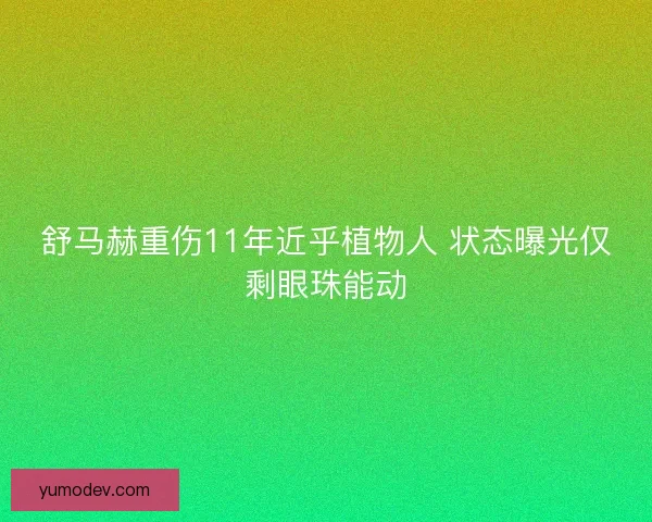舒马赫重伤11年近乎植物人 状态曝光仅剩眼珠能动